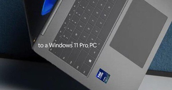 “Hãy đứng về phía an toàn” 1